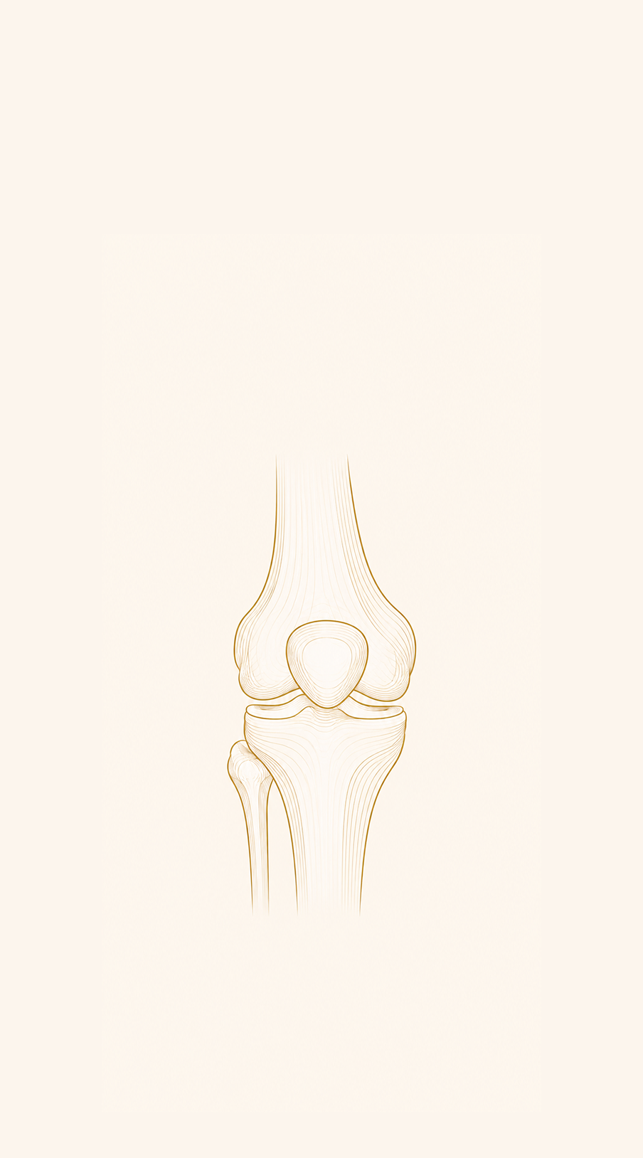 OPTIBone